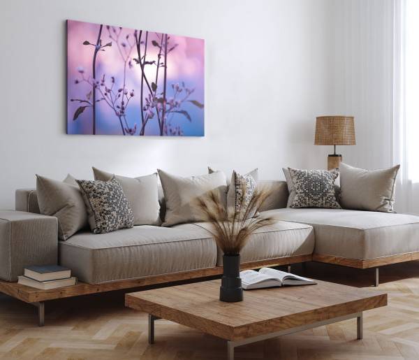 Paul Sinus Art 120x80cm Wandbild auf Leinwand Frühling Pflanzenblüte Abenddämmerung Natur JETZT KAUFEN