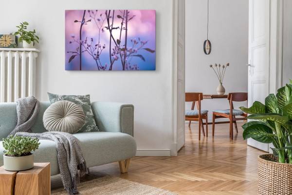 Paul Sinus Art 120x80cm Wandbild auf Leinwand Frühling Pflanzenblüte Abenddämmerung Natur JETZT KAUFEN