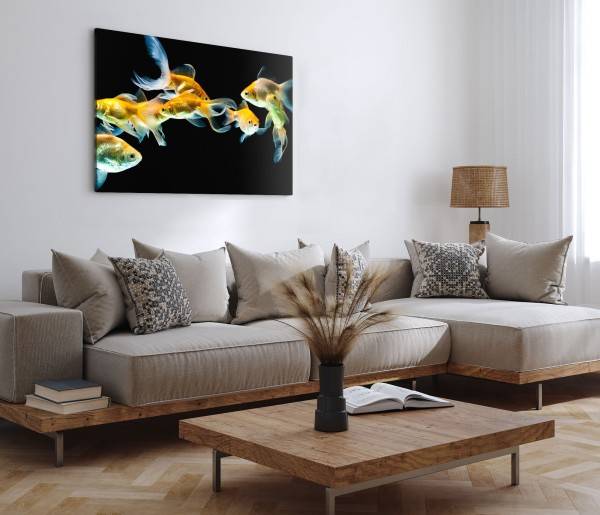 Paul Sinus Art 120x80cm Wandbild auf Leinwand Goldfische Aquarienfische schwarzer Hintergrund Bis zu 50% Rabatt