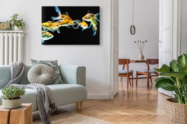 Paul Sinus Art 120x80cm Wandbild auf Leinwand Goldfische Aquarienfische schwarzer Hintergrund Bis zu 50% Rabatt