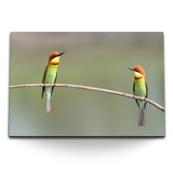Paul Sinus Art 120x80cm Wandbild auf Leinwand Zwei kleine Vögel auf Ast Tierfotografie Natur Bis zu 60% Rabatt