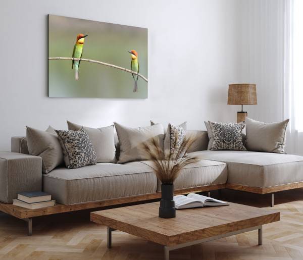 Paul Sinus Art 120x80cm Wandbild auf Leinwand Zwei kleine Vögel auf Ast Tierfotografie Natur Bis zu 60% Rabatt