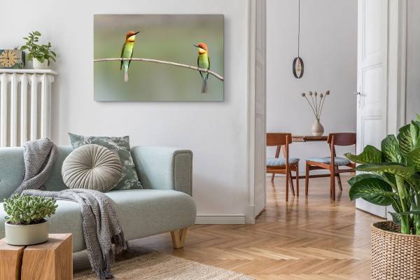 Paul Sinus Art 120x80cm Wandbild auf Leinwand Zwei kleine Vögel auf Ast Tierfotografie Natur Bis zu 60% Rabatt