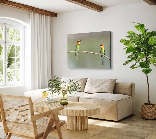 Paul Sinus Art 120x80cm Wandbild auf Leinwand Zwei kleine Vögel auf Ast Tierfotografie Natur Bis zu 60% Rabatt
