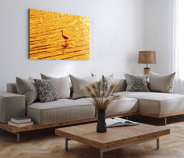Paul Sinus Art 120x80cm Wandbild auf Leinwand Kranich im Wasser Sonnenuntergang Abendrot Tierfotografie Bis zu 65% Rabatt