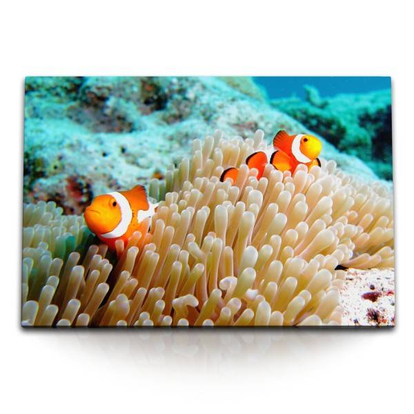 Paul Sinus Art 120x80cm Wandbild auf Leinwand Korallenriff Clownfisch unter Wasser bunte Fische