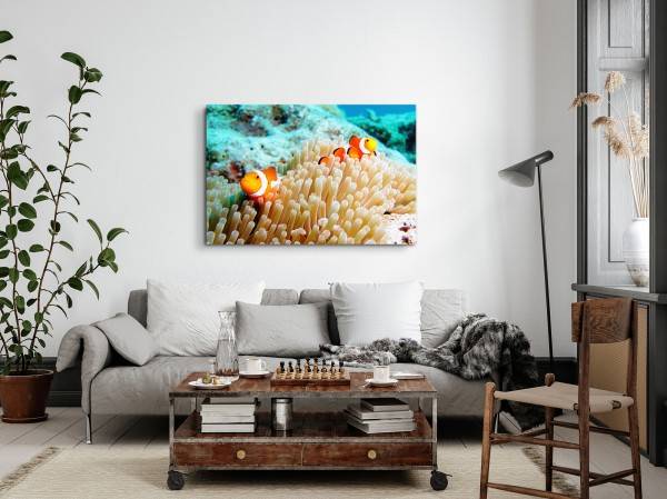Paul Sinus Art 120x80cm Wandbild auf Leinwand Korallenriff Clownfisch unter Wasser bunte Fische Nur für heute