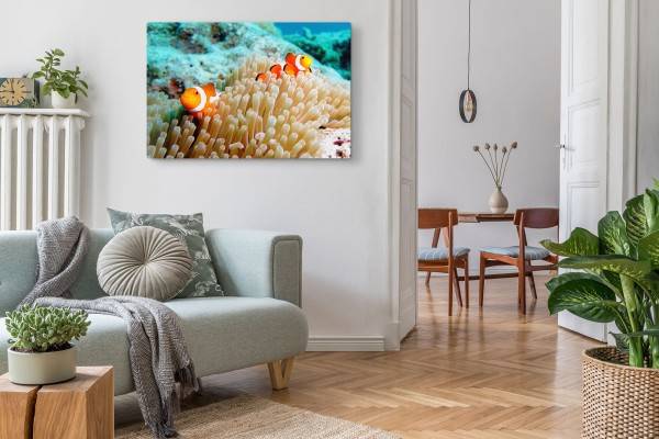 Paul Sinus Art 120x80cm Wandbild auf Leinwand Korallenriff Clownfisch unter Wasser bunte Fische Nur für heute