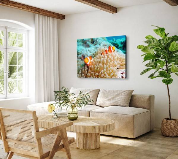 Paul Sinus Art 120x80cm Wandbild auf Leinwand Korallenriff Clownfisch unter Wasser bunte Fische Nur für heute