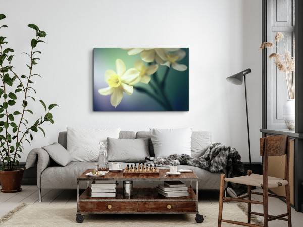 Paul Sinus Art 120x80cm Wandbild auf Leinwand Weiße Blumen Blüten Kunstvoll Makrofotografie Discount Store für neue Produkte