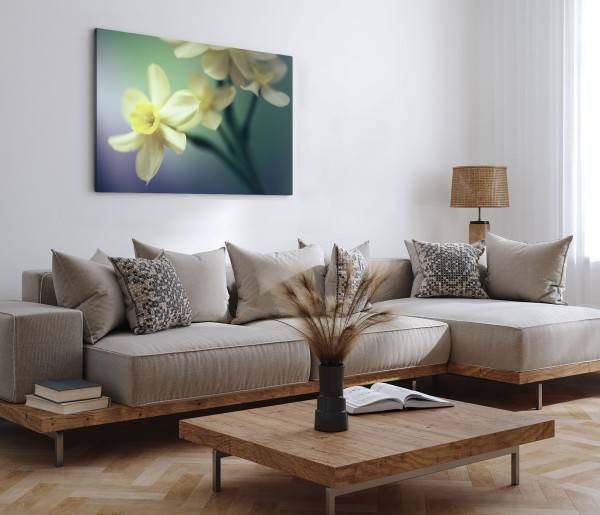Paul Sinus Art 120x80cm Wandbild auf Leinwand Weiße Blumen Blüten Kunstvoll Makrofotografie Discount Store für neue Produkte