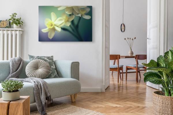 Paul Sinus Art 120x80cm Wandbild auf Leinwand Weiße Blumen Blüten Kunstvoll Makrofotografie Discount Store für neue Produkte