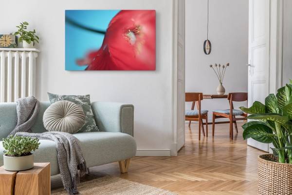 Paul Sinus Art 120x80cm Wandbild auf Leinwand Rote Blume Mohn Blüte Rot Makrofotografie Nur noch ein Tag übrig