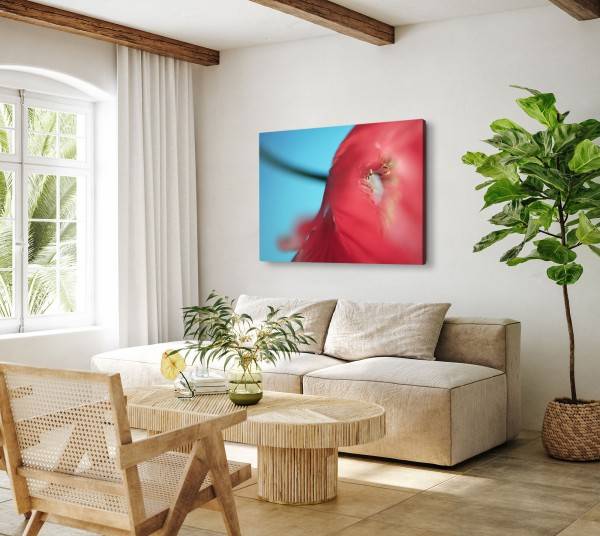 Paul Sinus Art 120x80cm Wandbild auf Leinwand Rote Blume Mohn Blüte Rot Makrofotografie Nur noch ein Tag übrig