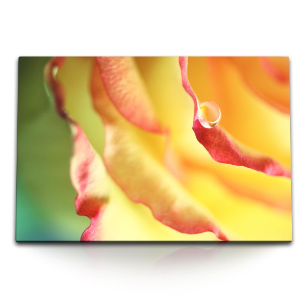 Paul Sinus Art 120x80cm Wandbild auf Leinwand Makrofotografie Wassertropfen gelbe Blüte Blume