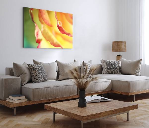 Paul Sinus Art 120x80cm Wandbild auf Leinwand Makrofotografie Wassertropfen gelbe Blüte Blume Super Rabatt