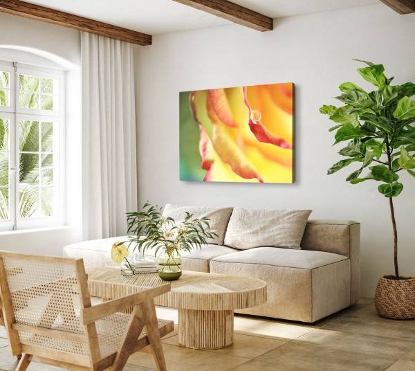 Paul Sinus Art 120x80cm Wandbild auf Leinwand Makrofotografie Wassertropfen gelbe Blüte Blume Super Rabatt