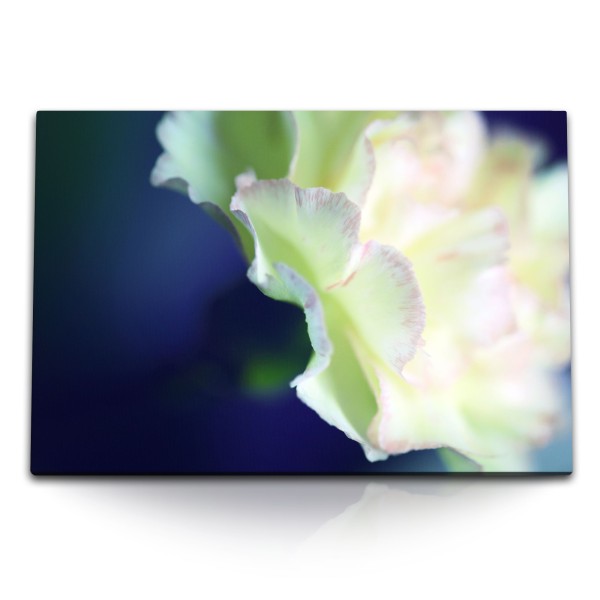Paul Sinus Art 120x80cm Wandbild auf Leinwand Weiße Blume Blüte Blau Kunstvoll Makrofotografie
