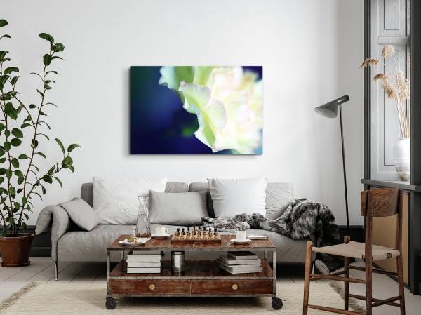 Paul Sinus Art 120x80cm Wandbild auf Leinwand Weiße Blume Blüte Blau Kunstvoll Makrofotografie Riesige Rabatte
