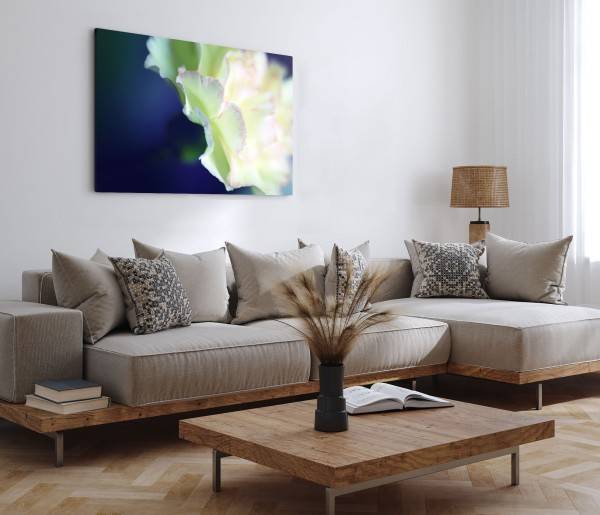 Paul Sinus Art 120x80cm Wandbild auf Leinwand Weiße Blume Blüte Blau Kunstvoll Makrofotografie Riesige Rabatte