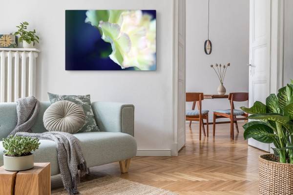 Paul Sinus Art 120x80cm Wandbild auf Leinwand Weiße Blume Blüte Blau Kunstvoll Makrofotografie Riesige Rabatte