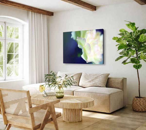 Paul Sinus Art 120x80cm Wandbild auf Leinwand Weiße Blume Blüte Blau Kunstvoll Makrofotografie Riesige Rabatte