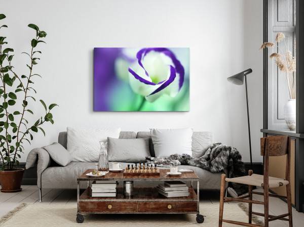 Paul Sinus Art 120x80cm Wandbild auf Leinwand Blume Blüte Weiß Violett Fotokunst Makrofotografie Clearance-Verkauf