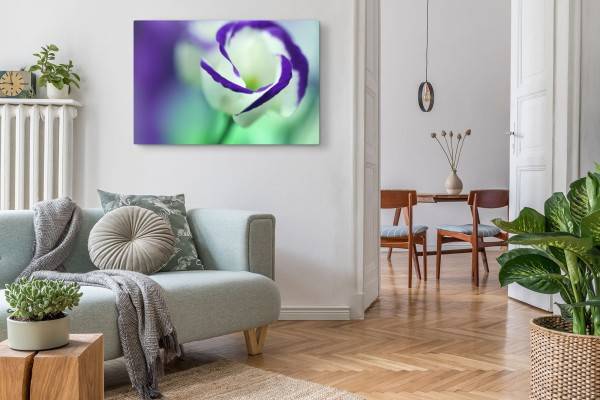 Paul Sinus Art 120x80cm Wandbild auf Leinwand Blume Blüte Weiß Violett Fotokunst Makrofotografie Clearance-Verkauf