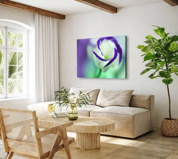 Paul Sinus Art 120x80cm Wandbild auf Leinwand Blume Blüte Weiß Violett Fotokunst Makrofotografie Clearance-Verkauf