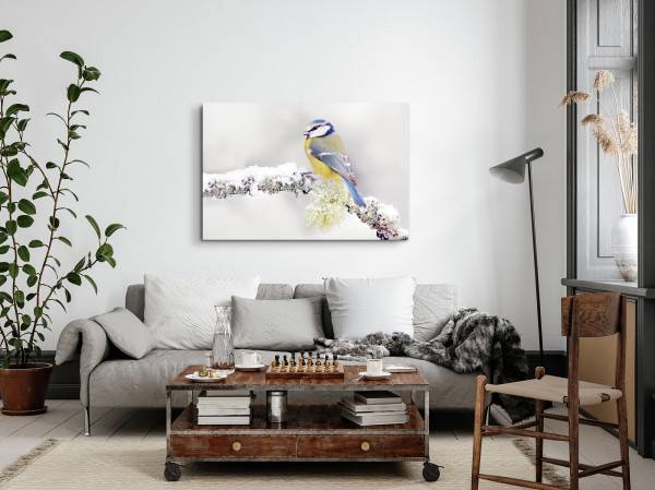 Paul Sinus Art 120x80cm Wandbild auf Leinwand Meise kleiner Vogel Winter Ast Schnee Bunt Kostenloser Versand international