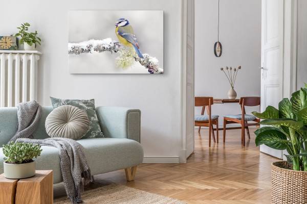 Paul Sinus Art 120x80cm Wandbild auf Leinwand Meise kleiner Vogel Winter Ast Schnee Bunt Kostenloser Versand international