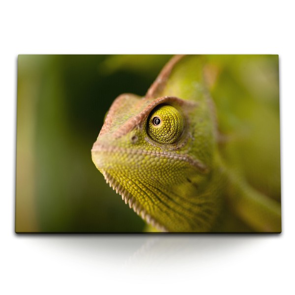 Paul Sinus Art 120x80cm Wandbild auf Leinwand Chamäleon Grün Tierfotografie Reptil Tropisch