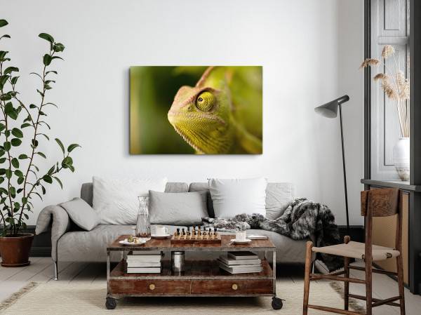 Paul Sinus Art 120x80cm Wandbild auf Leinwand Chamäleon Grün Tierfotografie Reptil Tropisch Fabrikladen