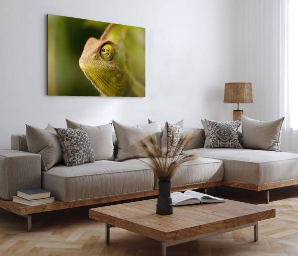 Paul Sinus Art 120x80cm Wandbild auf Leinwand Chamäleon Grün Tierfotografie Reptil Tropisch Fabrikladen