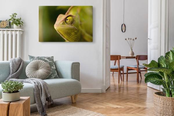 Paul Sinus Art 120x80cm Wandbild auf Leinwand Chamäleon Grün Tierfotografie Reptil Tropisch Fabrikladen