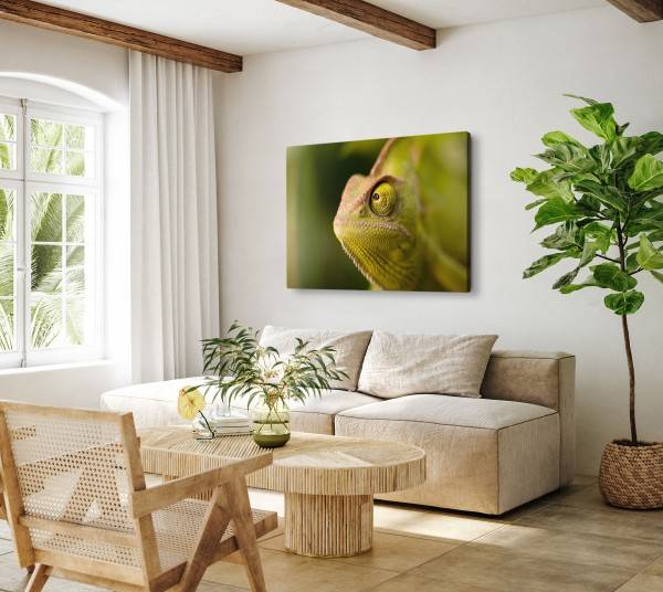 Paul Sinus Art 120x80cm Wandbild auf Leinwand Chamäleon Grün Tierfotografie Reptil Tropisch Fabrikladen
