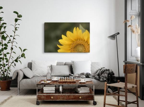 Paul Sinus Art 120x80cm Wandbild auf Leinwand Sonnenblume gelbe Blüte Blume Natur Grün Speichern exportieren