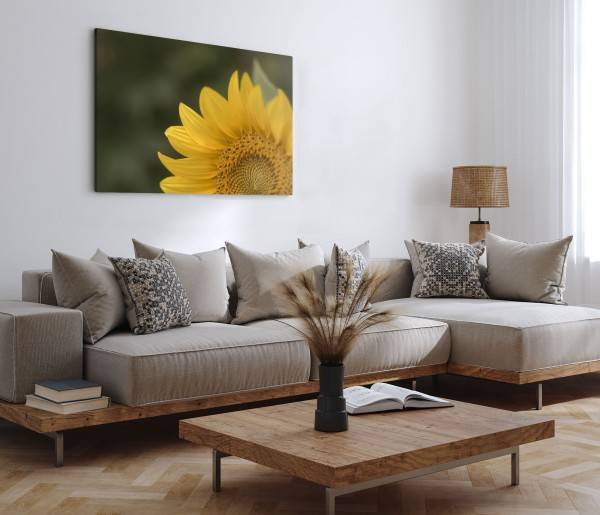 Paul Sinus Art 120x80cm Wandbild auf Leinwand Sonnenblume gelbe Blüte Blume Natur Grün Speichern exportieren