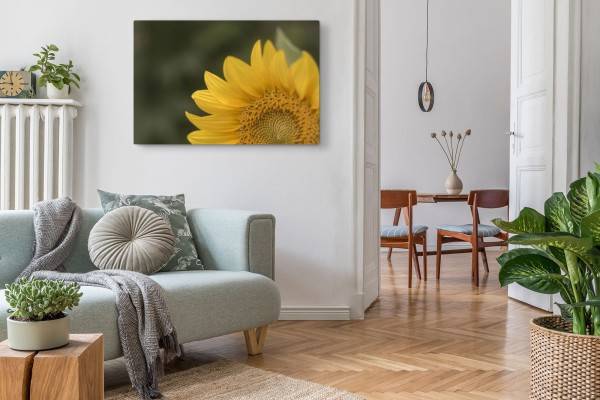 Paul Sinus Art 120x80cm Wandbild auf Leinwand Sonnenblume gelbe Blüte Blume Natur Grün Speichern exportieren