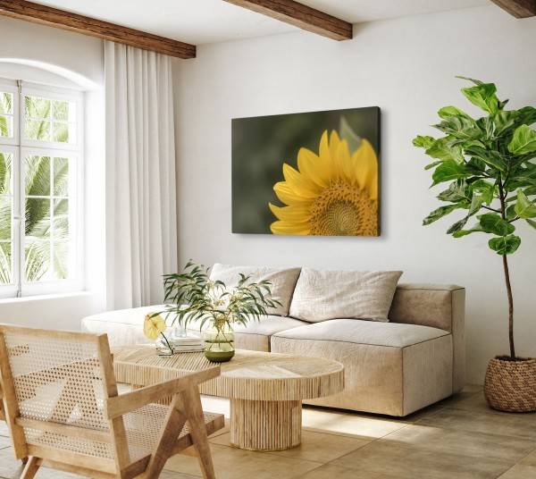 Paul Sinus Art 120x80cm Wandbild auf Leinwand Sonnenblume gelbe Blüte Blume Natur Grün Speichern exportieren