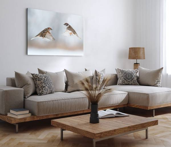 Paul Sinus Art 120x80cm Wandbild auf Leinwand Kleine Vögel Sperlinge Haussperling Tierfotografie Im Verkauf
