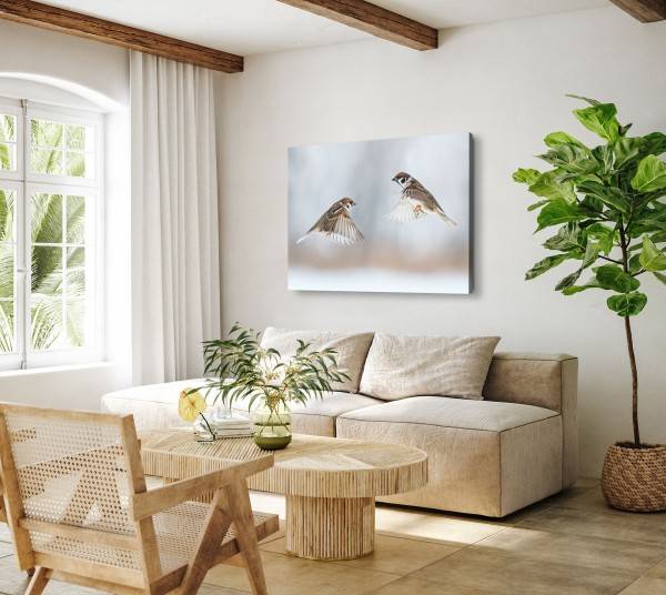 Paul Sinus Art 120x80cm Wandbild auf Leinwand Kleine Vögel Sperlinge Haussperling Tierfotografie Im Verkauf