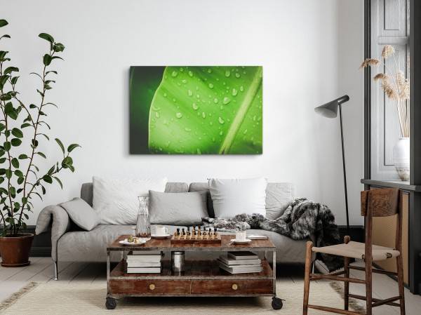 Paul Sinus Art 120x80cm Wandbild auf Leinwand Grünes Pflanzenblatt Regentropfen Natur Makrofotografie zollfrei