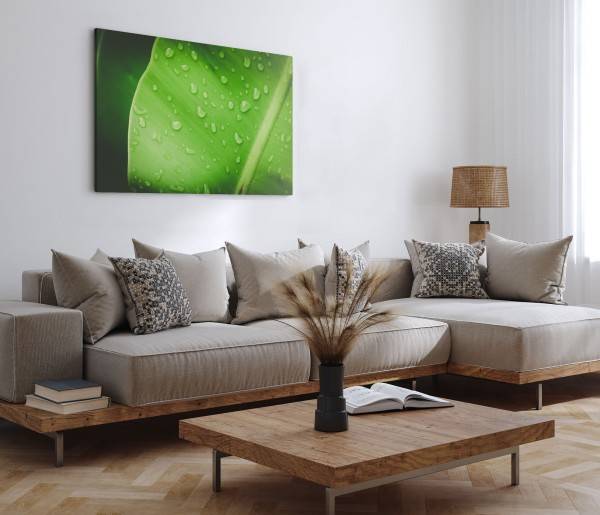 Paul Sinus Art 120x80cm Wandbild auf Leinwand Grünes Pflanzenblatt Regentropfen Natur Makrofotografie zollfrei