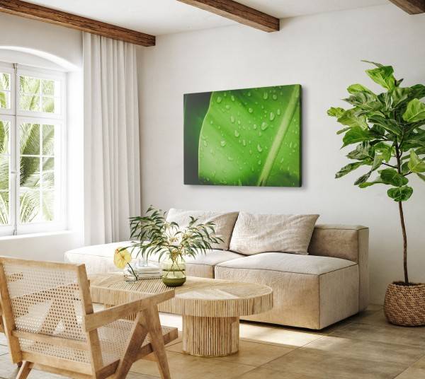 Paul Sinus Art 120x80cm Wandbild auf Leinwand Grünes Pflanzenblatt Regentropfen Natur Makrofotografie zollfrei