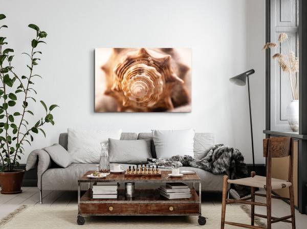 Paul Sinus Art 120x80cm Wandbild auf Leinwand Fotokunst Muschel Schneckenhaus Spirale Meeresmuschel 50% Rabatt für begrenzte Zeit
