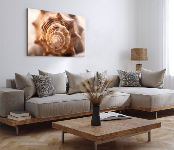 Paul Sinus Art 120x80cm Wandbild auf Leinwand Fotokunst Muschel Schneckenhaus Spirale Meeresmuschel 50% Rabatt für begrenzte Zeit