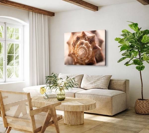 Paul Sinus Art 120x80cm Wandbild auf Leinwand Fotokunst Muschel Schneckenhaus Spirale Meeresmuschel 50% Rabatt für begrenzte Zeit