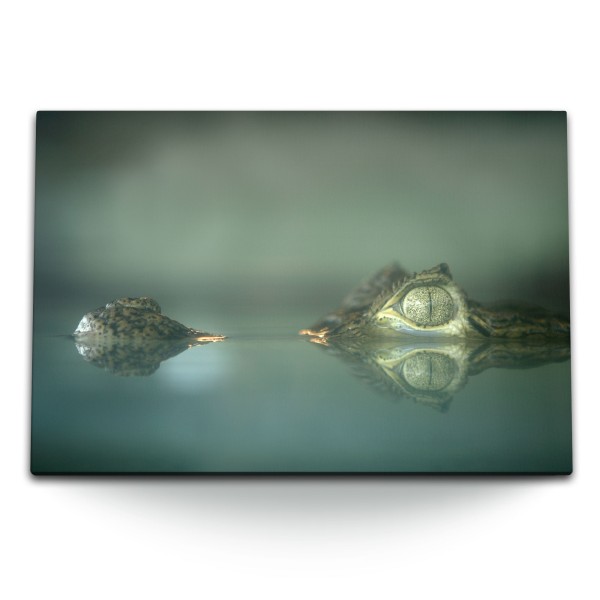 Paul Sinus Art 120x80cm Wandbild auf Leinwand Kleiner Krokodil Reptil Tierfotografie Grün