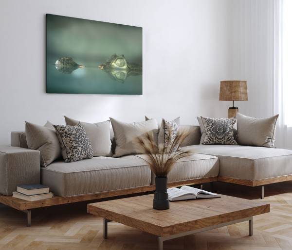 Paul Sinus Art 120x80cm Wandbild auf Leinwand Kleiner Krokodil Reptil Tierfotografie Grün 2025
